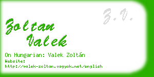 zoltan valek business card
